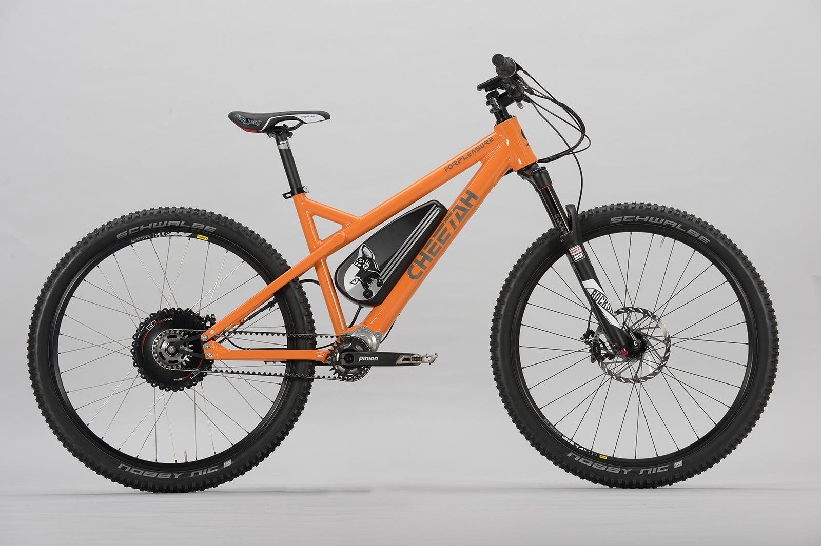 EFully MountainSpirit 2016 Cheetah Bikes