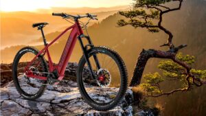 E-MTB Hardtail