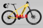 SALE eMTB AllMountain Hardtail mit Rohloff und Gates Riemen